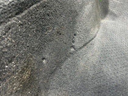 Ковер салона