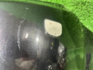 Бампер передний SUBARU FORESTER OEM 57702SC000EN SH5 2007 GREY 61K