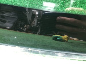 Стекло лобовое SUBARU LEGACY OEM 65009AE010NA BH5 2000